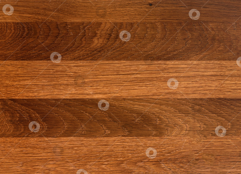 Скачать Brown Beige Texture of stained oak wood with grain, fragment of a wooden panel hardwood. surface bark is used as natural background, web page, board, table. Contrasts and symmetries. Space for text. фотосток Ozero