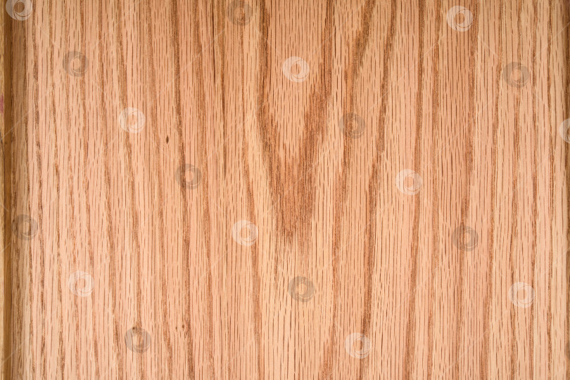 Скачать Brown Beige Texture of stained oak wood with grain, fragment of a wooden panel hardwood. surface bark is used as natural background, web page, board, table. Contrasts and symmetries. Space for text. фотосток Ozero