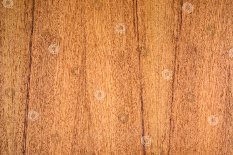 Скачать Brown Beige Texture of stained oak wood with grain, fragment of a wooden panel hardwood. surface bark is used as natural background, web page, board, table. Contrasts and symmetries. Space for text. фотосток Ozero