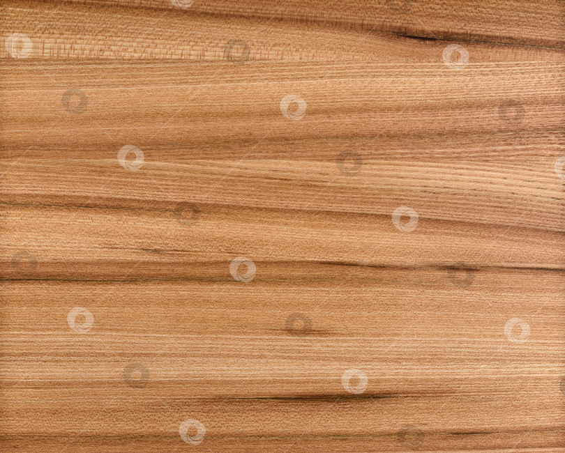 Скачать Brown Beige Texture of stained oak wood with grain, fragment of a wooden panel hardwood. surface bark is used as natural background, web page, board, table. Contrasts and symmetries. Space for text. фотосток Ozero