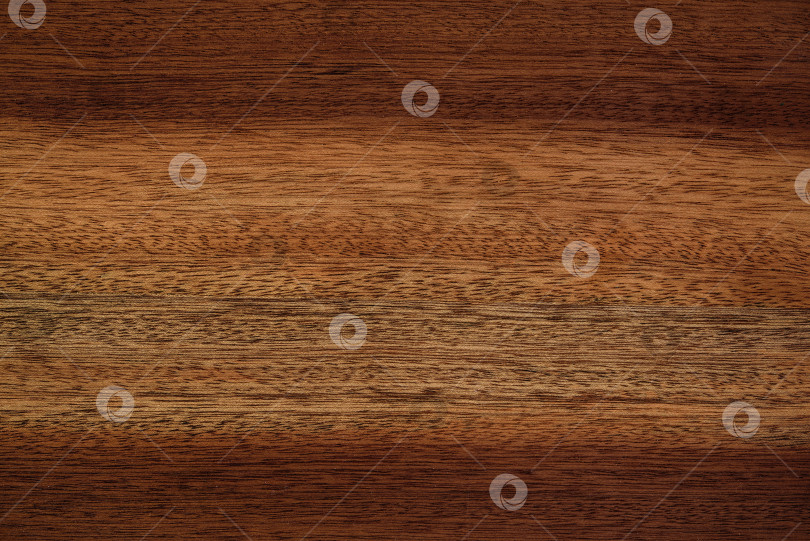 Скачать Brown Beige Texture of stained oak wood with grain, fragment of a wooden panel hardwood. surface bark is used as natural background, web page, board, table. Contrasts and symmetries. Space for text. фотосток Ozero