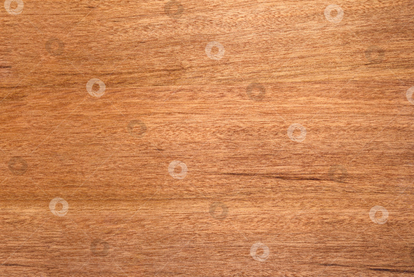 Скачать Brown Beige Texture of stained oak wood with grain, fragment of a wooden panel hardwood. surface bark is used as natural background, web page, board, table. Contrasts and symmetries. Space for text. фотосток Ozero