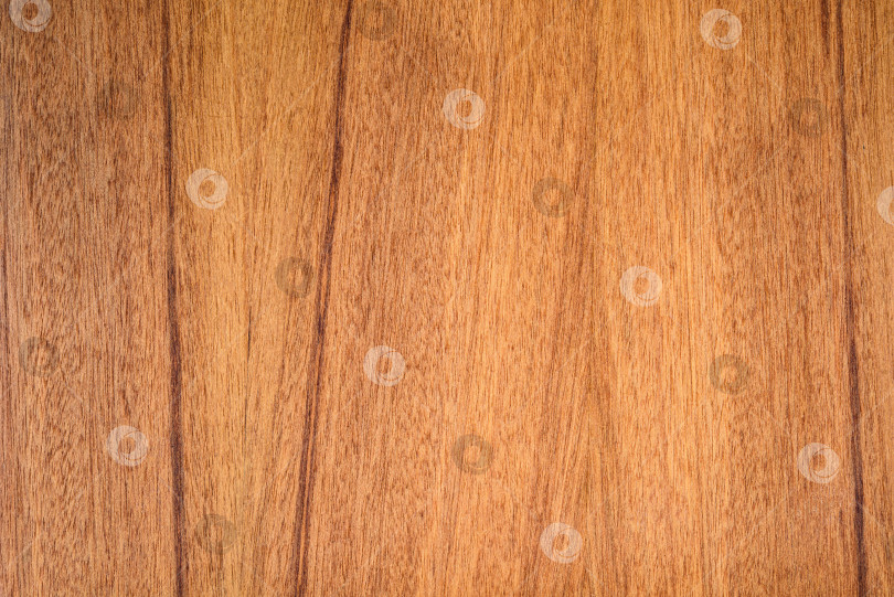 Скачать Brown Beige Texture of stained oak wood with grain, fragment of a wooden panel hardwood. surface bark is used as natural background, web page, board, table. Contrasts and symmetries. Space for text. фотосток Ozero