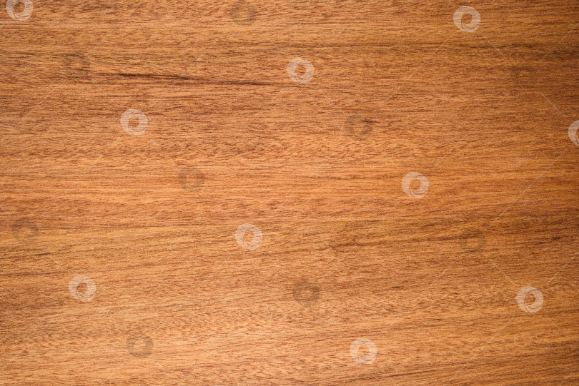 Скачать Brown Beige Texture of stained oak wood with grain, fragment of a wooden panel hardwood. surface bark is used as natural background, web page, board, table. Contrasts and symmetries. Space for text. фотосток Ozero