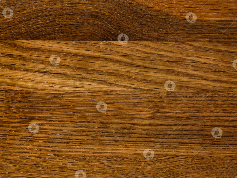 Скачать Brown Beige Texture of stained oak wood with grain, fragment of a wooden panel hardwood. surface bark is used as natural background, web page, board, table. Contrasts and symmetries. Space for text. фотосток Ozero