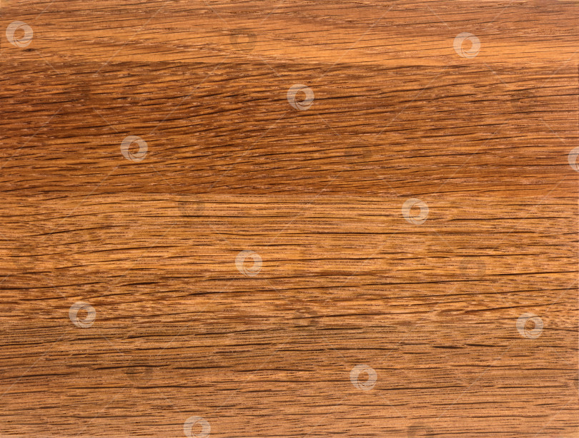 Скачать Brown Orange Texture of stained oak wood. фотосток Ozero