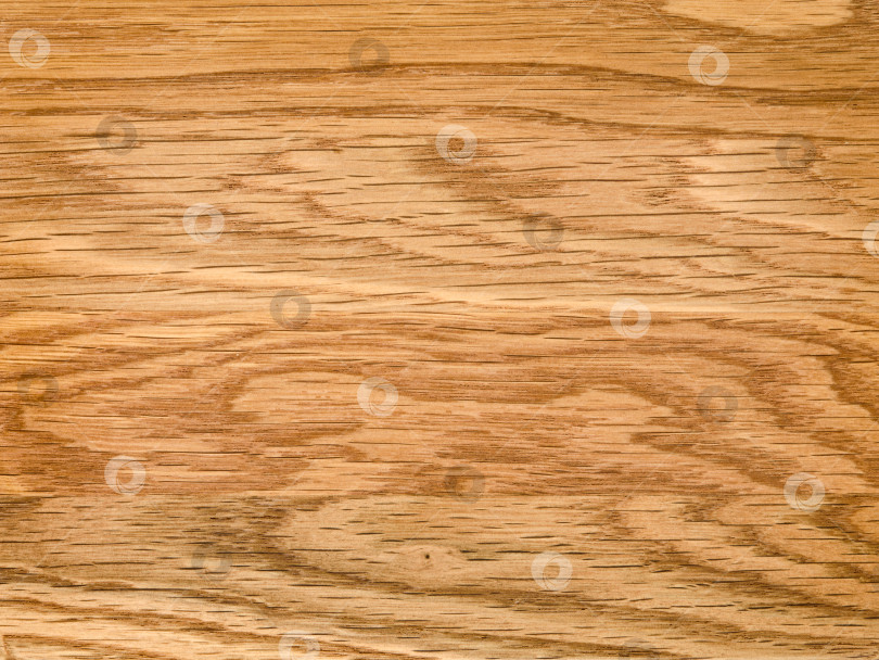 Скачать Brown Beige Texture of stained oak wood with grain, fragment of a wooden panel hardwood. surface bark is used as natural background, web page, board, table. Contrasts and symmetries. Space for text. фотосток Ozero