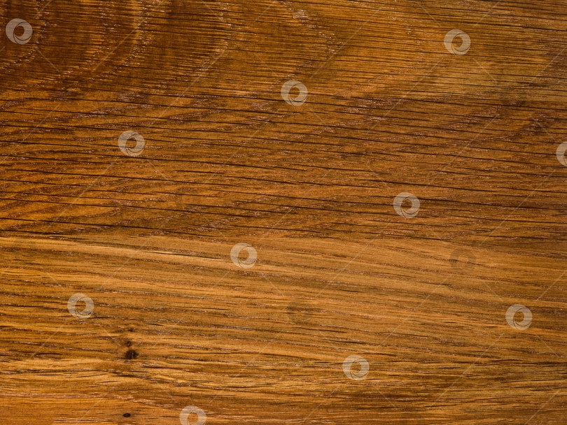 Скачать Brown Beige Texture of stained oak wood with grain, fragment of a wooden panel hardwood. surface bark is used as natural background, web page, board, table. Contrasts and symmetries. Space for text. фотосток Ozero