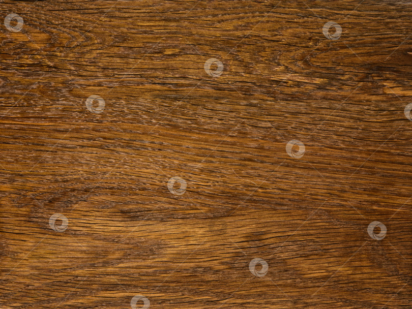 Скачать Brown Beige Texture of stained oak wood with grain, fragment of a wooden panel hardwood. surface bark is used as natural background, web page, board, table. Contrasts and symmetries. Space for text. фотосток Ozero