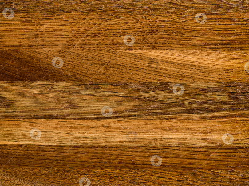 Скачать Brown Beige Texture of stained oak wood with grain, fragment of a wooden panel hardwood. surface bark is used as natural background, web page, board, table. Contrasts and symmetries. Space for text. фотосток Ozero