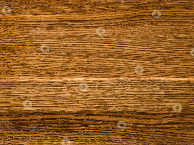 Скачать Brown Beige Texture of stained oak wood with grain, fragment of a wooden panel hardwood. surface bark is used as natural background, web page, board, table. Contrasts and symmetries. Space for text. фотосток Ozero