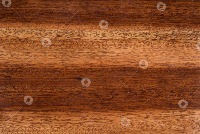 Скачать Brown Beige Texture of stained oak wood with grain, fragment of a wooden panel hardwood. surface bark is used as natural background, web page, board, table. Contrasts and symmetries. Space for text. фотосток Ozero