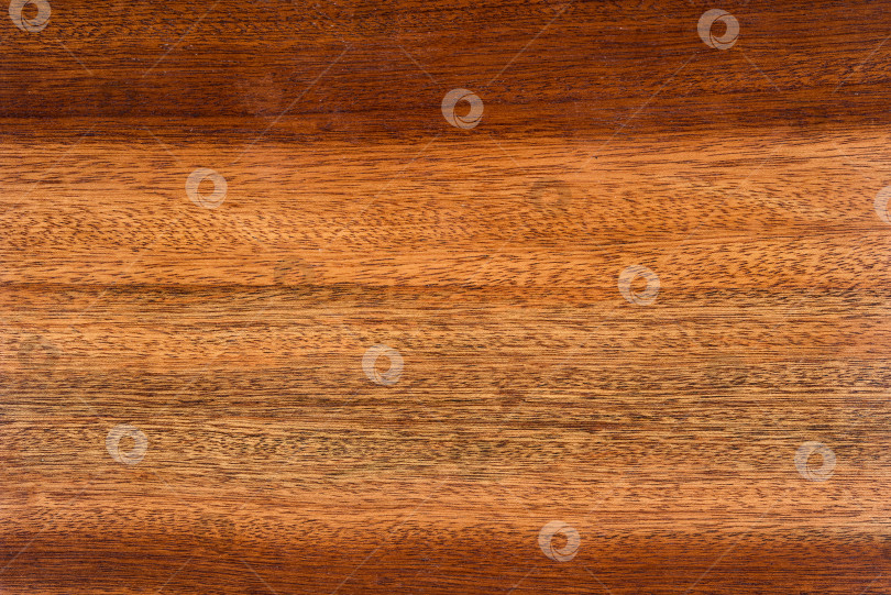 Скачать Brown Beige Texture of stained oak wood with grain, fragment of a wooden panel hardwood. surface bark is used as natural background, web page, board, table. Contrasts and symmetries. Space for text. фотосток Ozero