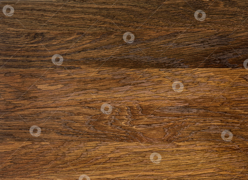 Скачать Brown Beige Texture of stained oak wood with grain, fragment of a wooden panel hardwood. surface bark is used as natural background, web page, board, table. Contrasts and symmetries. Space for text. фотосток Ozero