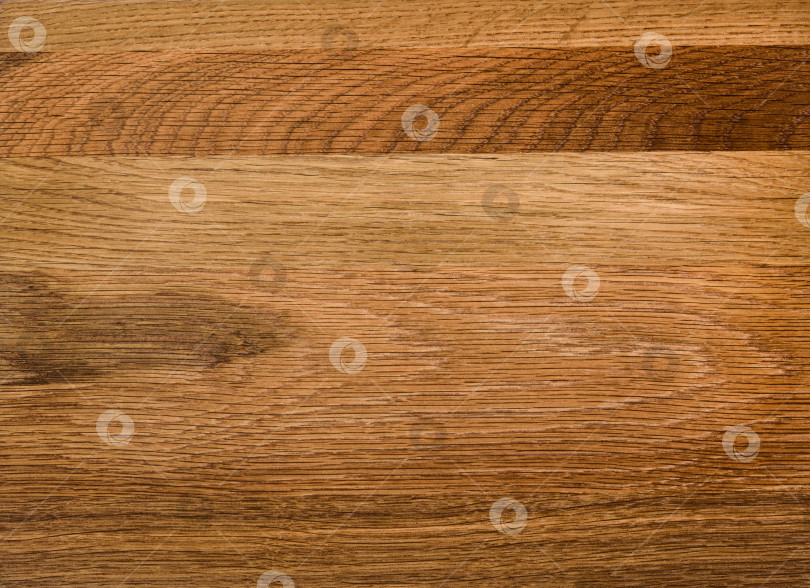 Скачать Brown Beige Texture of stained oak wood with grain, fragment of a wooden panel hardwood. surface bark is used as natural background, web page, board, table. Contrasts and symmetries. Space for text. фотосток Ozero