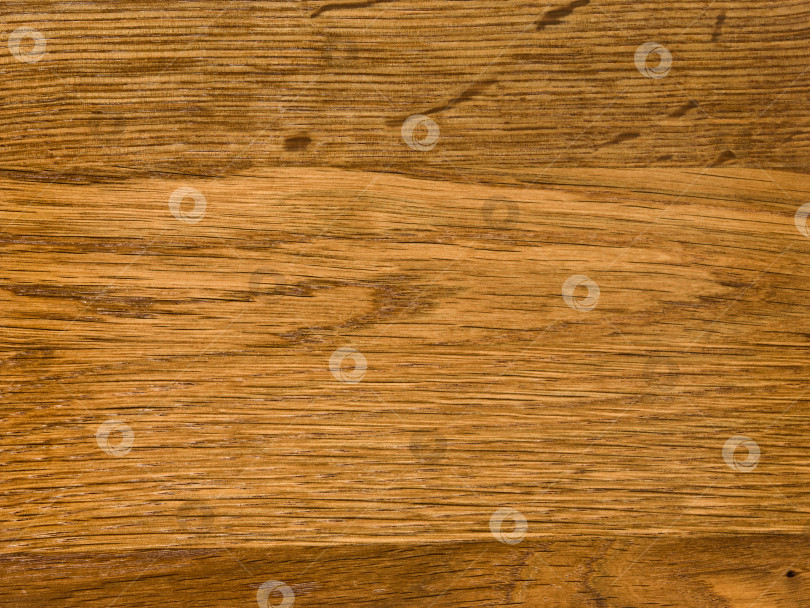 Скачать Brown Beige Texture of stained oak wood with grain, fragment of a wooden panel hardwood. surface bark is used as natural background, web page, board, table. Contrasts and symmetries. Space for text. фотосток Ozero