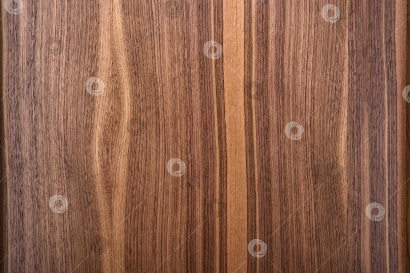 Скачать Brown Beige Texture of stained oak wood with grain, fragment of a wooden panel hardwood. surface bark is used as natural background, web page, board, table. Contrasts and symmetries. Space for text. фотосток Ozero