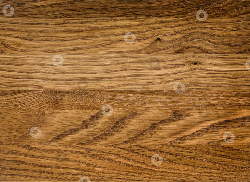 Скачать Brown Beige Texture of stained oak wood with grain, fragment of a wooden panel hardwood. surface bark is used as natural background, web page, board, table. Contrasts and symmetries. Space for text. фотосток Ozero