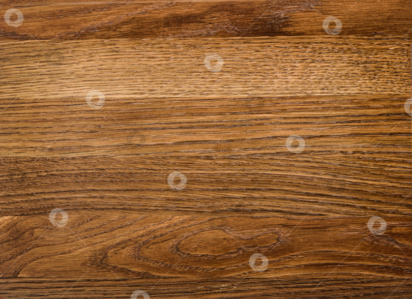 Скачать Brown Beige Texture of stained oak wood with grain, fragment of a wooden panel hardwood. surface bark is used as natural background, web page, board, table. Contrasts and symmetries. Space for text. фотосток Ozero