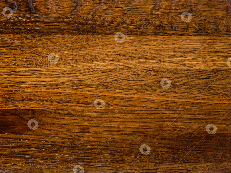 Скачать Brown Beige Texture of stained oak wood with grain, fragment of a wooden panel hardwood. surface bark is used as natural background, web page, board, table. Contrasts and symmetries. Space for text. фотосток Ozero