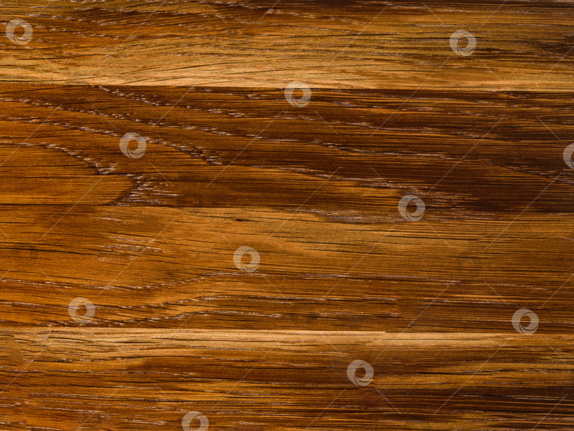 Скачать Brown Beige Texture of stained oak wood with grain, fragment of a wooden panel hardwood. surface bark is used as natural background, web page, board, table. Contrasts and symmetries. Space for text. фотосток Ozero