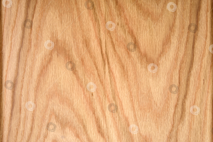 Скачать Brown Beige Texture of stained oak wood with grain, fragment of a wooden panel hardwood. surface bark is used as natural background, web page, board, table. Contrasts and symmetries. Space for text. фотосток Ozero