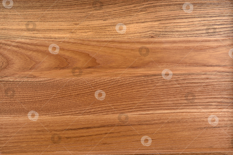 Скачать Brown Beige Texture of stained oak wood with grain, fragment of a wooden panel hardwood. surface bark is used as natural background, web page, board, table. Contrasts and symmetries. Space for text. фотосток Ozero