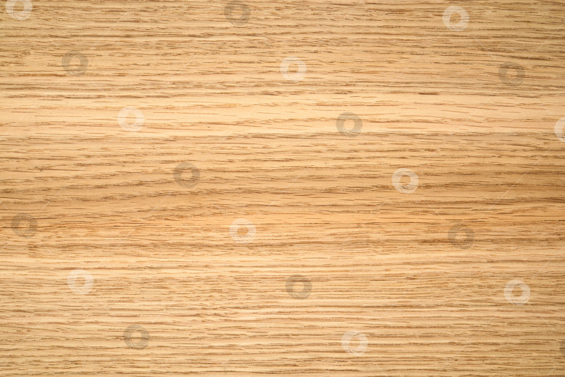 Скачать Brown Beige Texture of stained oak wood with grain, fragment of a wooden panel hardwood. surface bark is used as natural background, web page, board, table. Contrasts and symmetries. Space for text. фотосток Ozero