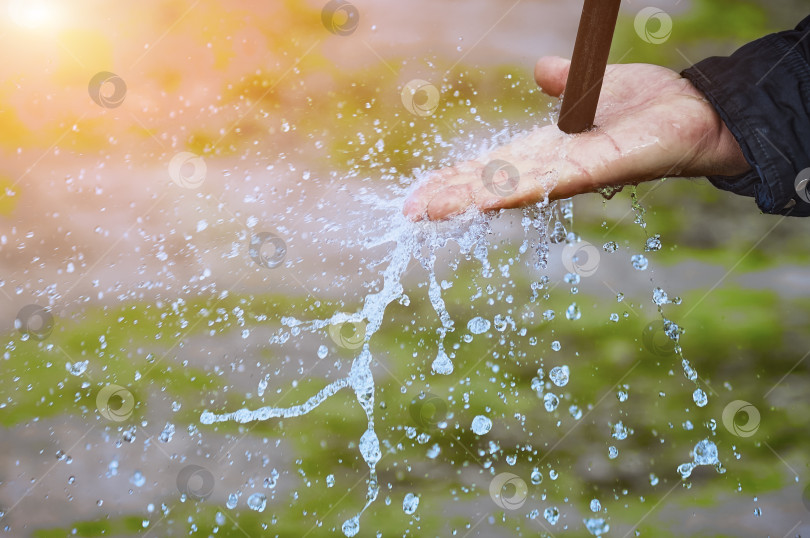 Скачать A jet of water pours into the palm of a man, breaking into splashes. Close up. Blurred background with green plants in the flower beds. фотосток Ozero