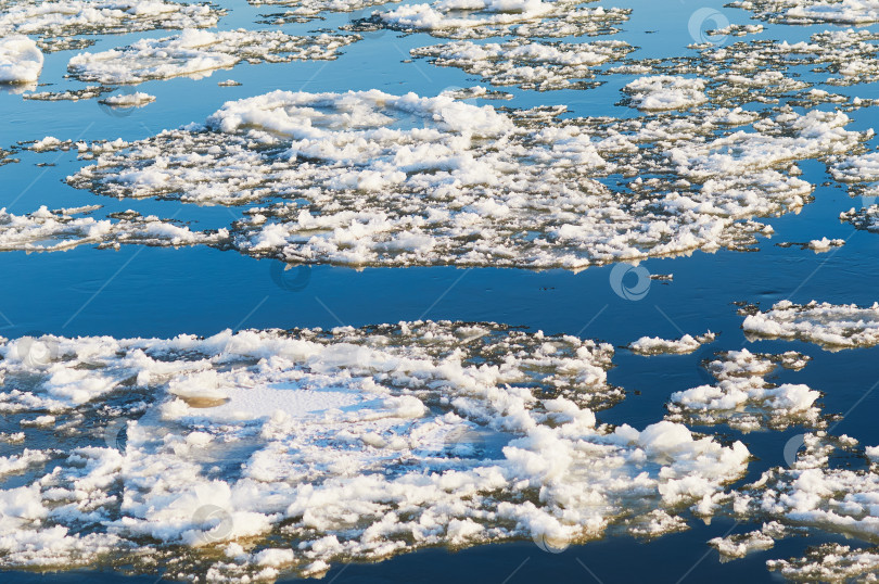 Скачать Ice floes float down the river in autumn at sunset. Natural phenomenon before freezing. фотосток Ozero