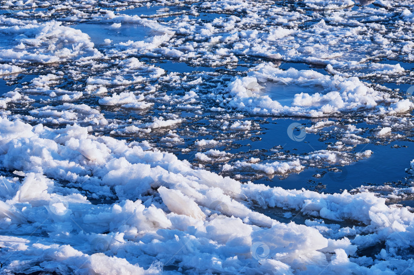 Скачать Ice floes float down the river in autumn at sunset. Natural phenomenon before freezing. фотосток Ozero