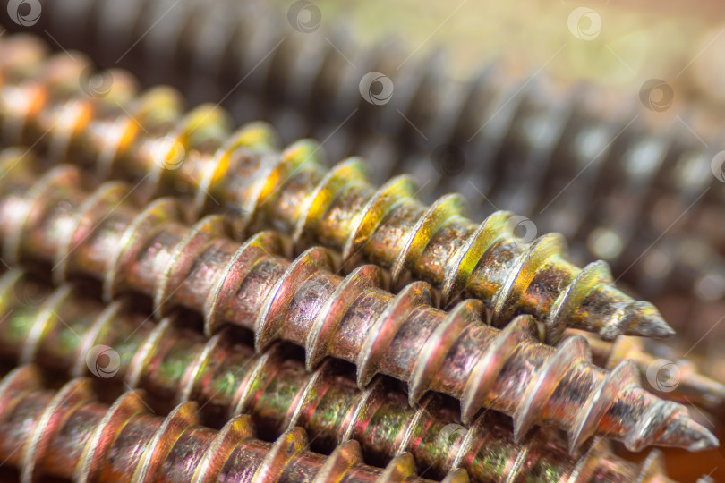 Скачать A close-up of the screws is an abstract background. A macro with a small depth of field. Focus on the nearest screw. The sharp tips of the golden screws. The screws are located on a wooden background фотосток Ozero