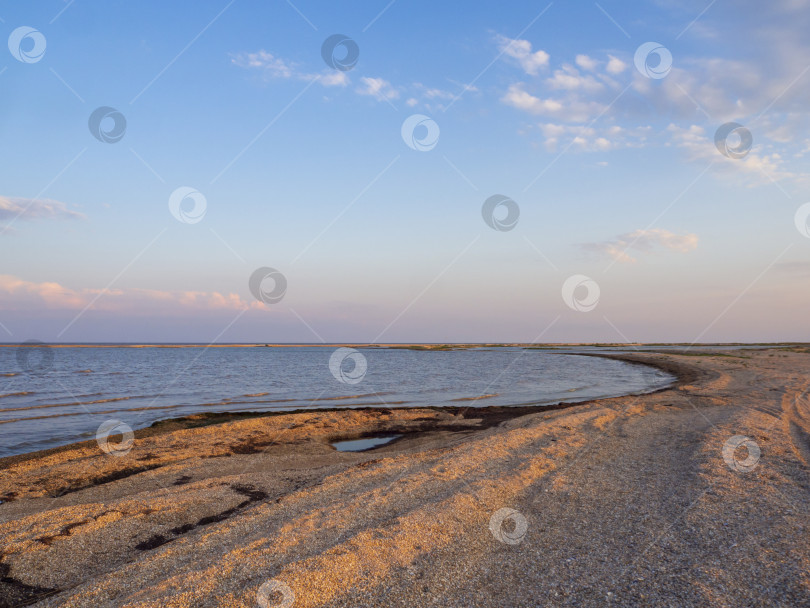 Скачать Wild lagoon shore covered with a layer of seashells under a blue sky with white clouds. Deserted seashore. Seascape фотосток Ozero