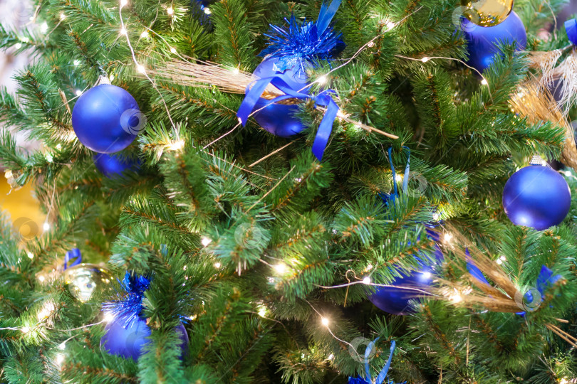 Скачать View of a  Christmas tree decorated with blue balls фотосток Ozero