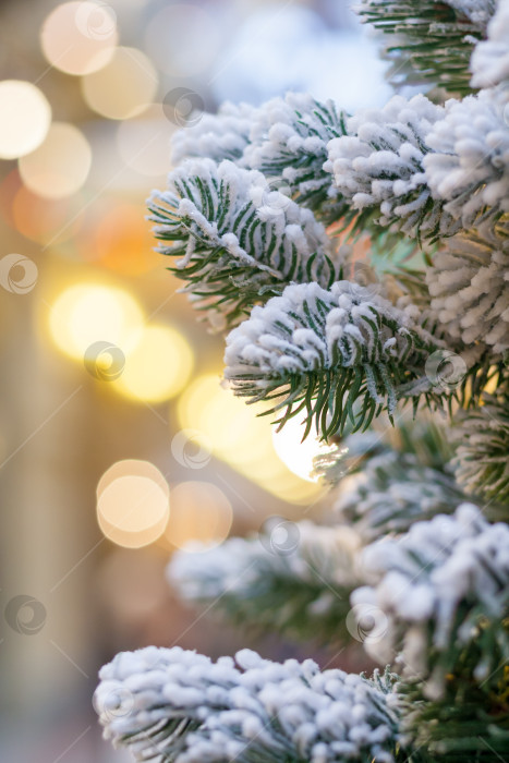 Скачать Close up view of a snow covered branches  Christmas tree on a background of yellow lights in blur фотосток Ozero