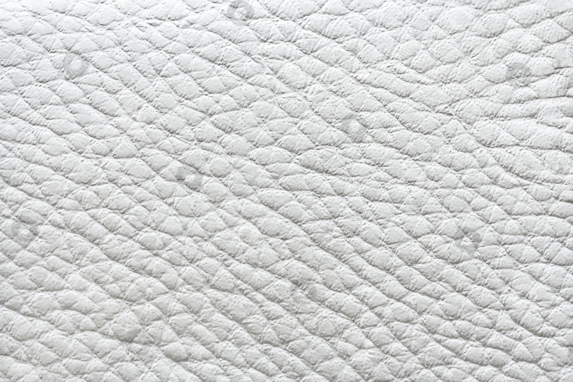 Скачать White leather texture (background) фотосток Ozero