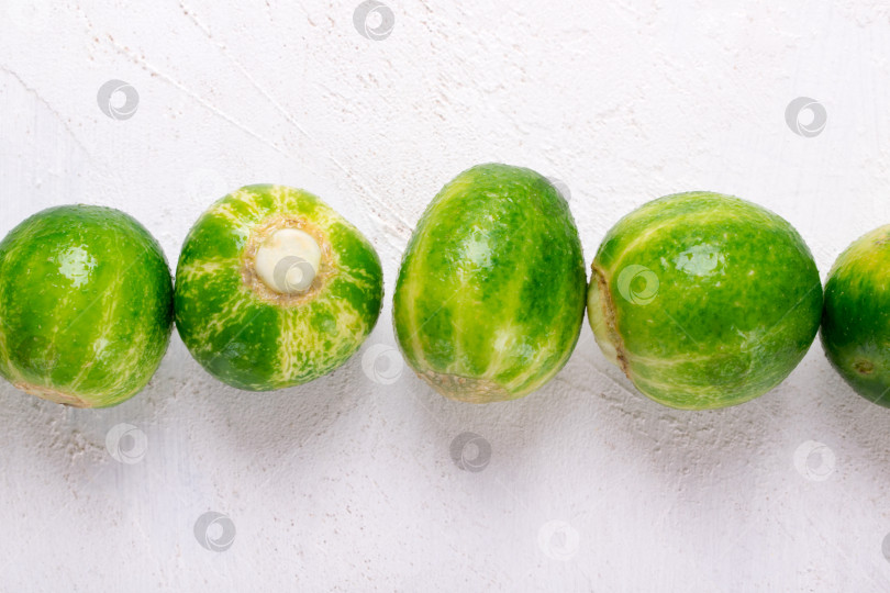 Скачать Small round cucumbers with stripes reminding watermelon in a line on white table. фотосток Ozero