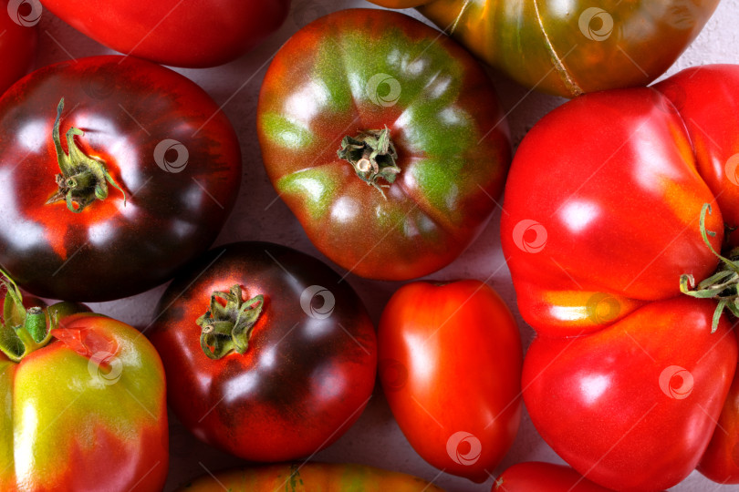 Скачать Assorted tomatoes of different colors and sizes. Top view. Full frame. фотосток Ozero