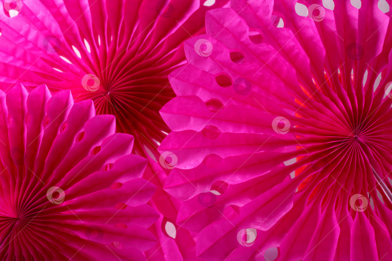 Скачать Pink party paper fans. Folding festive decoration. фотосток Ozero