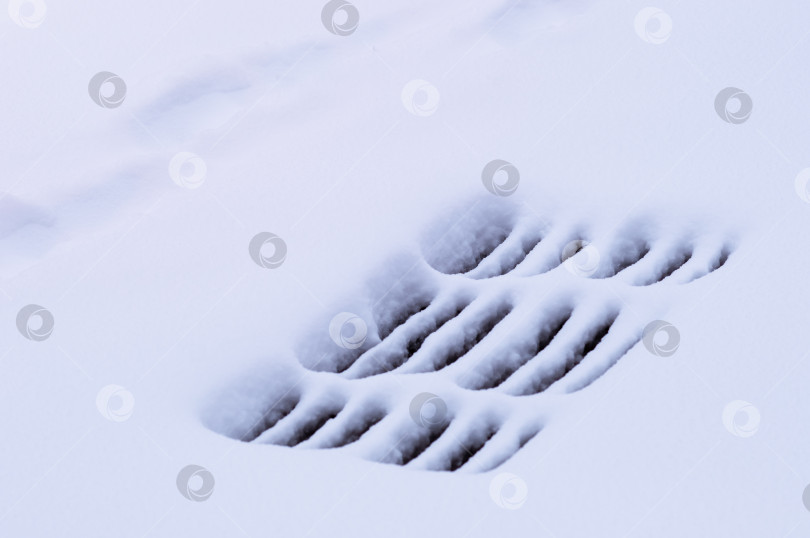 Скачать Решетка ливневой канализации под снегом во время снегопада зимой. Черные прорези на белой гладкой поверхности. Человеческие следы на заснеженной городской улице. фотосток Ozero
