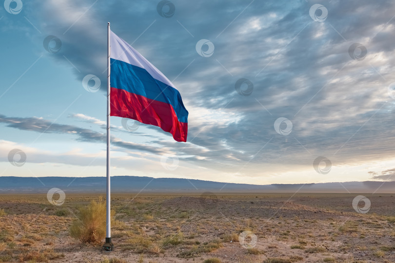 Скачать Развевающийся российский флаг изображен в степи на фоне впечатляющего неба с облаками и пустым пространством для текста. фотосток Ozero