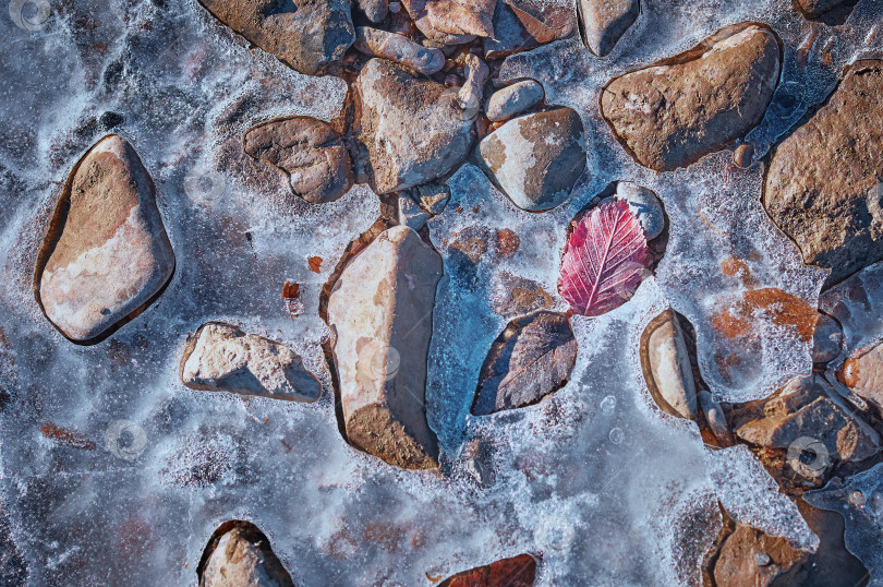 Скачать Округлые камни, вмерзшие в лед на берегах Амура, греются на солнце и оттаивают. фотосток Ozero