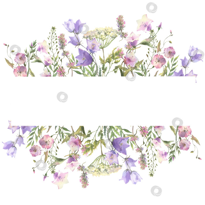Скачать Акварельная рамка с травами и полевыми цветами, листьями, бабочками. Ботаническая иллюстрация на белом фоне. Шаблон с местом для текста. фотосток Ozero