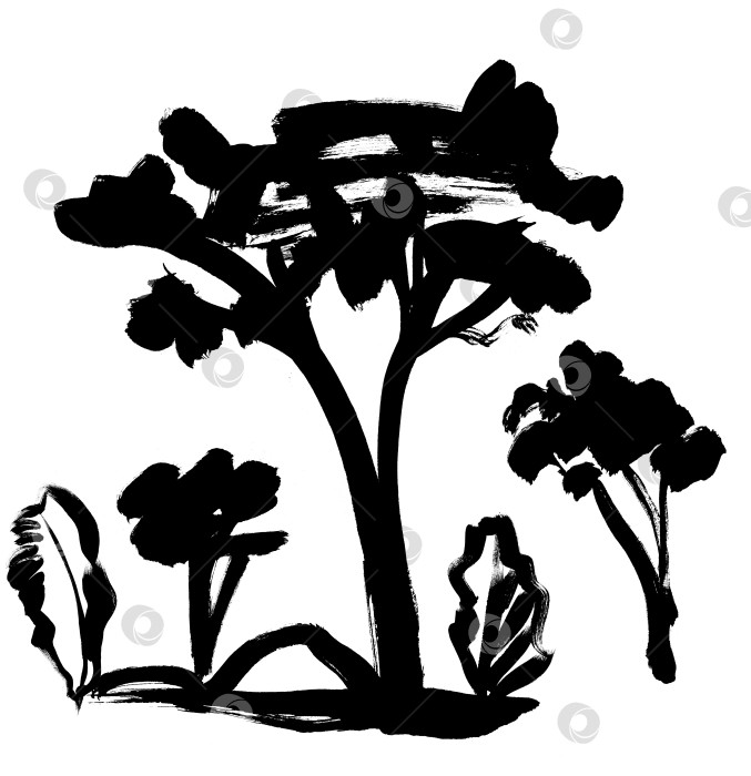 Скачать Черно-белый силуэт африканских деревьев, нарисованный сухой кистью гуашью для тропического дизайна фотосток Ozero