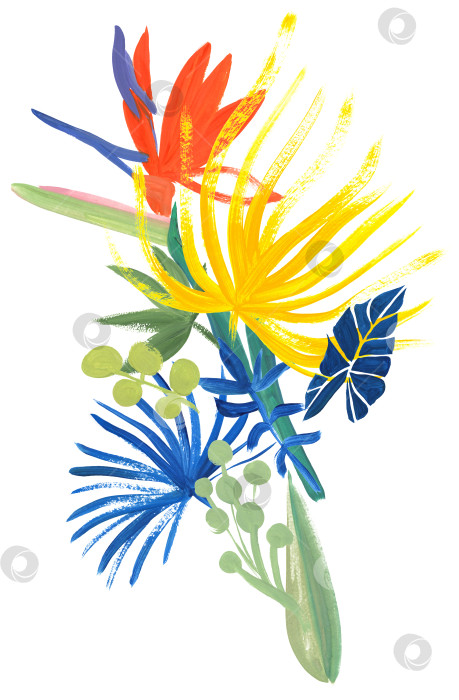 Скачать тропический яркий вертикальный букет из разноцветных нарисованных сухоцветов фотосток Ozero