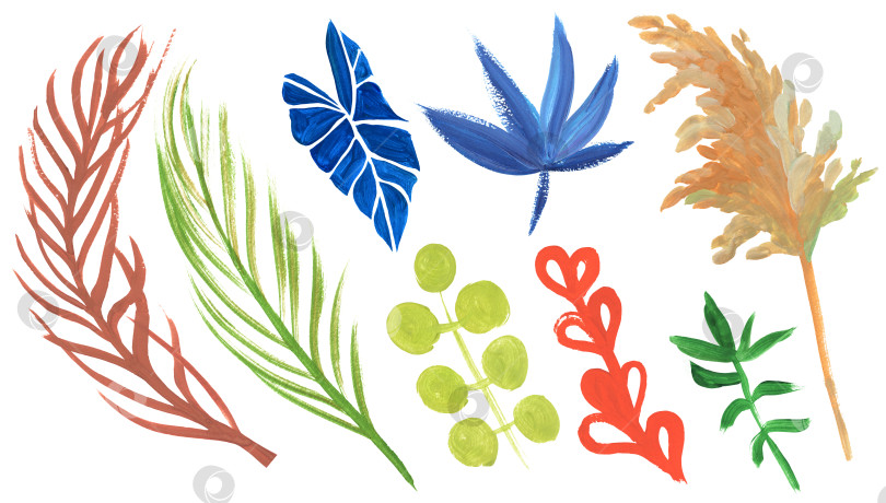 Скачать Набор тропических сухоцветов из веток и листьев, раскрашенных гуашью фотосток Ozero