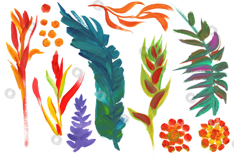 Скачать Коллекция веток и листьев тропических цветов, раскрашенных яркими красками фотосток Ozero