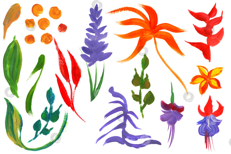 Скачать Коллекция веток и листьев тропических цветов, раскрашенных яркими красками сухой кистью фотосток Ozero