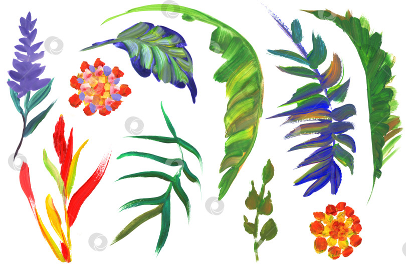 Скачать Коллекция тропических веток и листьев, раскрашенных яркими красками сухой кистью, выделенных на белом фоне фотосток Ozero