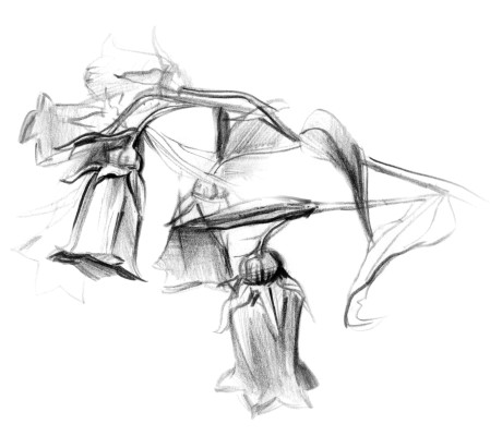 [object Object] undefined